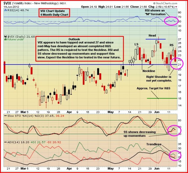 VIX13